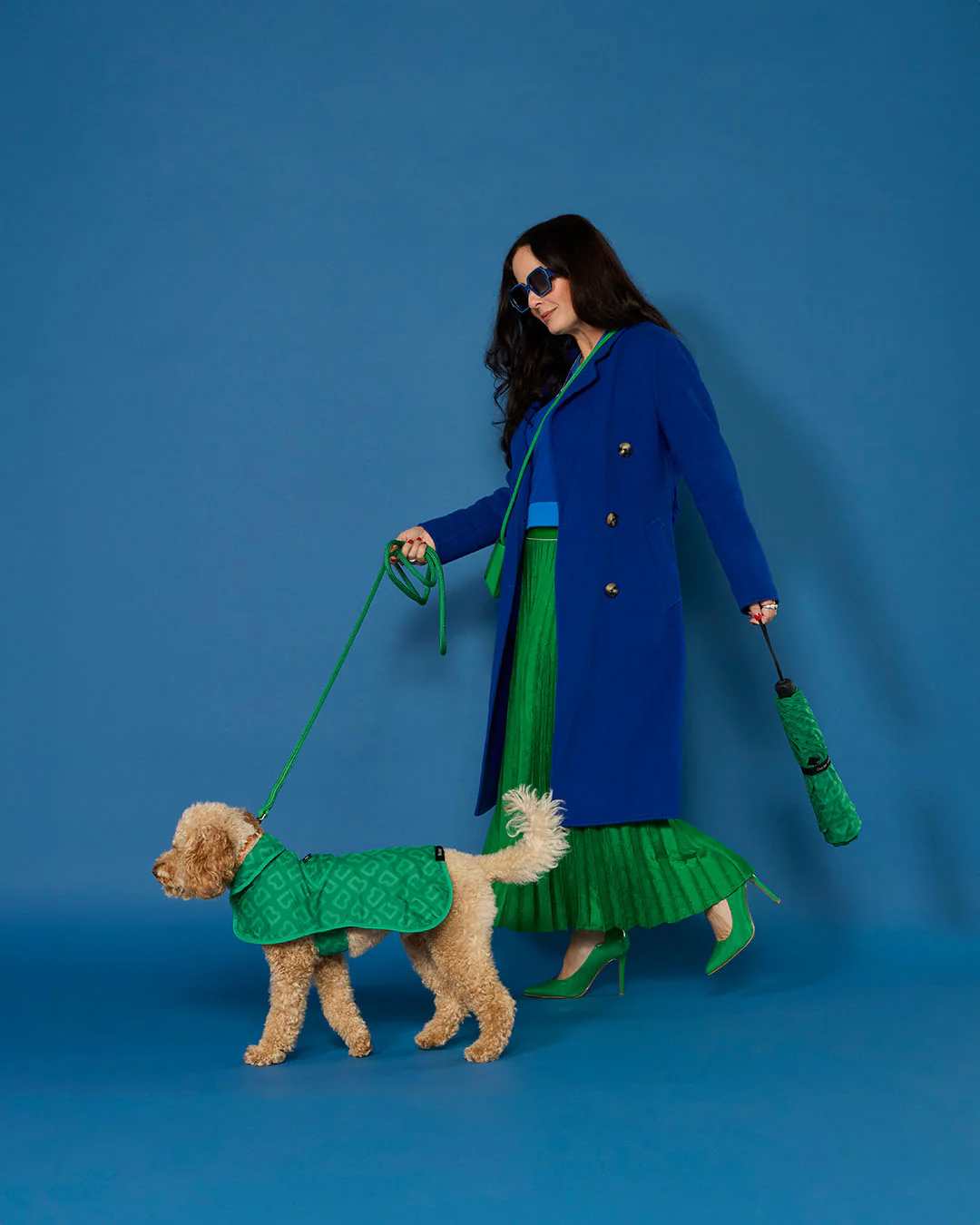 BLUNT - DOG JACKET | MEDIUM | PARK GREEN - Image 4