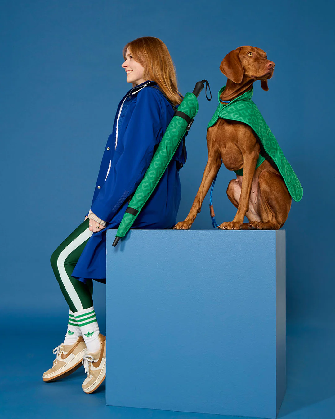 BLUNT - DOG JACKET | MEDIUM | PARK GREEN - Image 5