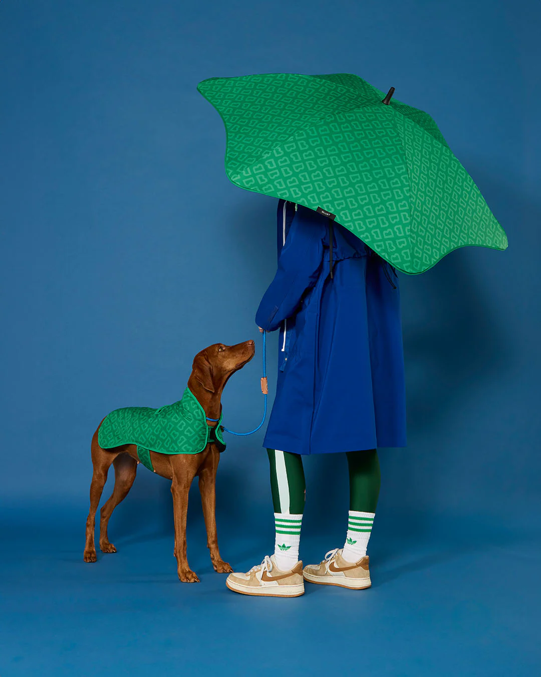 BLUNT - DOG JACKET | MEDIUM | PARK GREEN - Image 7