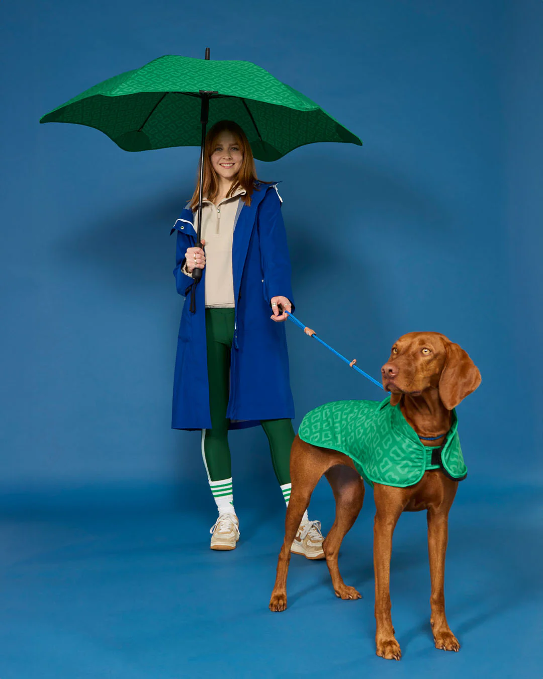 BLUNT - DOG JACKET | MEDIUM | PARK GREEN - Image 8
